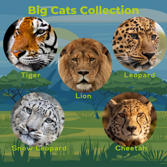 The Majesty of the Felines: Discover Through Our Exclusive Apparel