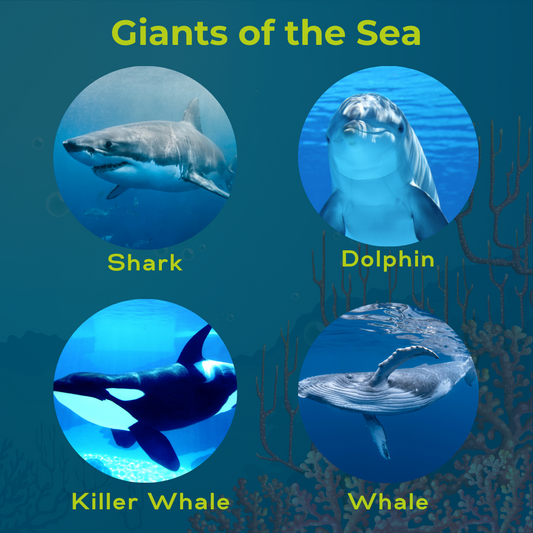 Giants of the sea
