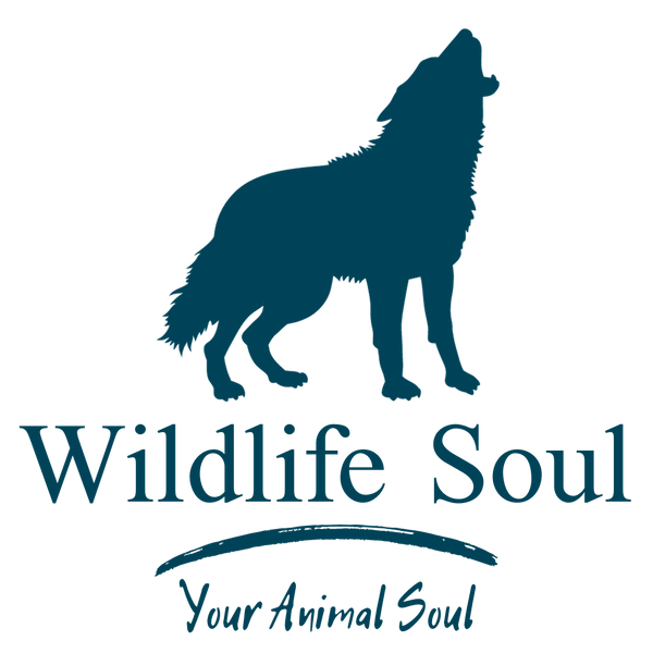 Wildlife Soul