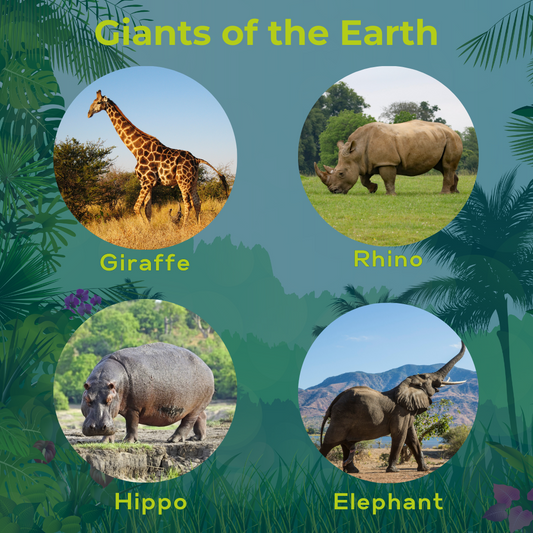 Giants of the Earth: Embrace the Majestic Wonders with Wildlife Soul