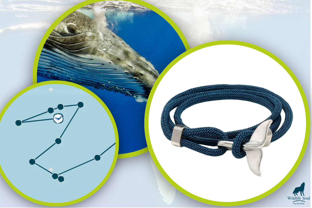 Whale Tracking Bracelet