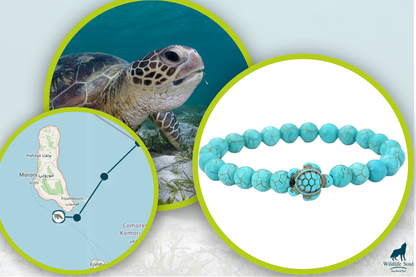 Turtle Tracking Bracelet